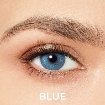 Desio Att. Quarterly Classic | Blue