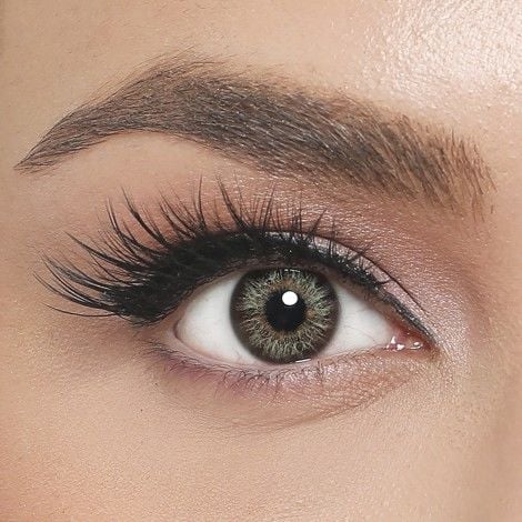 EL AMORE RENKLİ LENS RETRO SERİSİ FORESTA