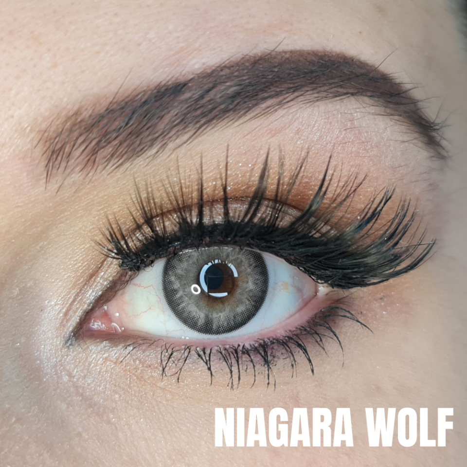 FXEYES ÜÇ AYLIK LENSLER NİAGARA WOLF KOYU GRİ