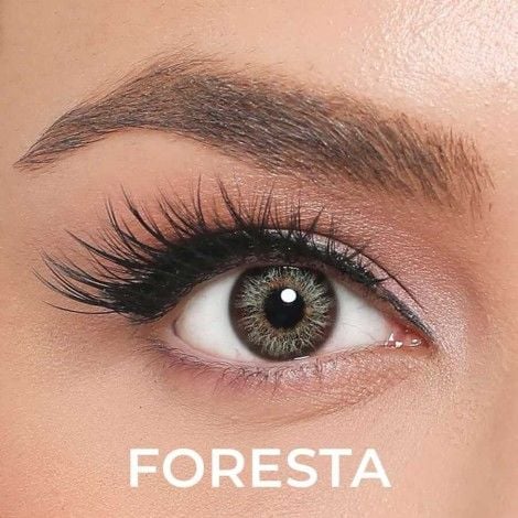 EL ALMORE RETRO NUMARALI FORESTA