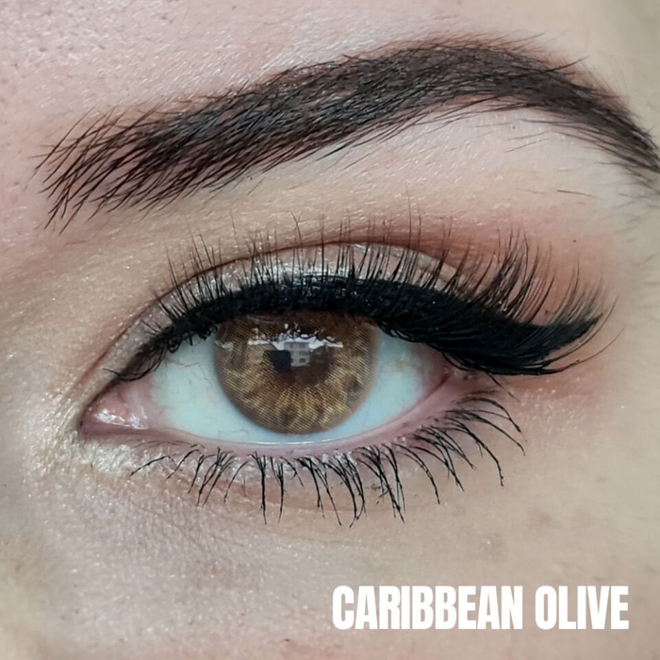 CARIBBEAN OLIVE
