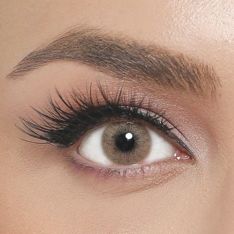 Iconic Haresiz Seri Bronze